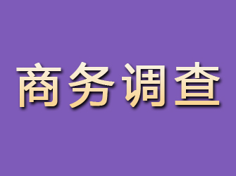 宝山商务调查